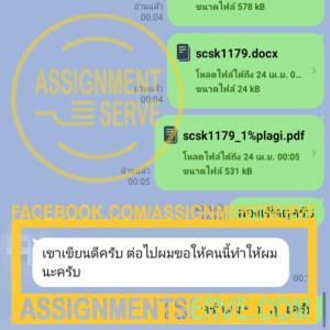 assignmentserve2-300x300