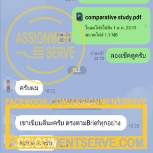 assignmentserve3-300x300